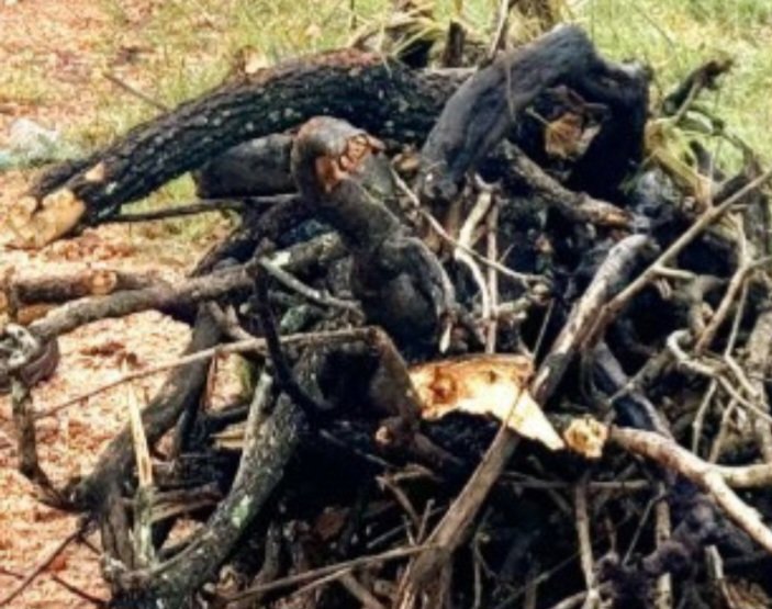 Eno ye Ntanda 2024 : Kinywa kyamaggwa –  Akisiba yamanya bw’akyetikka