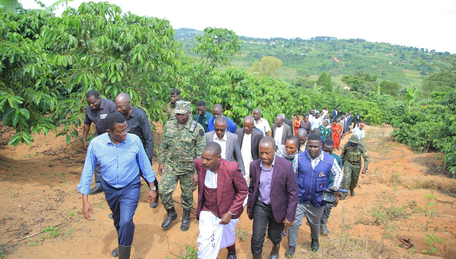 Katikkiro Mayiga abavubuka abasibiridde entanda - abadde alambula abalimi b'emmwanyi mu Buddu mu nkola eya Situla Omutindo
