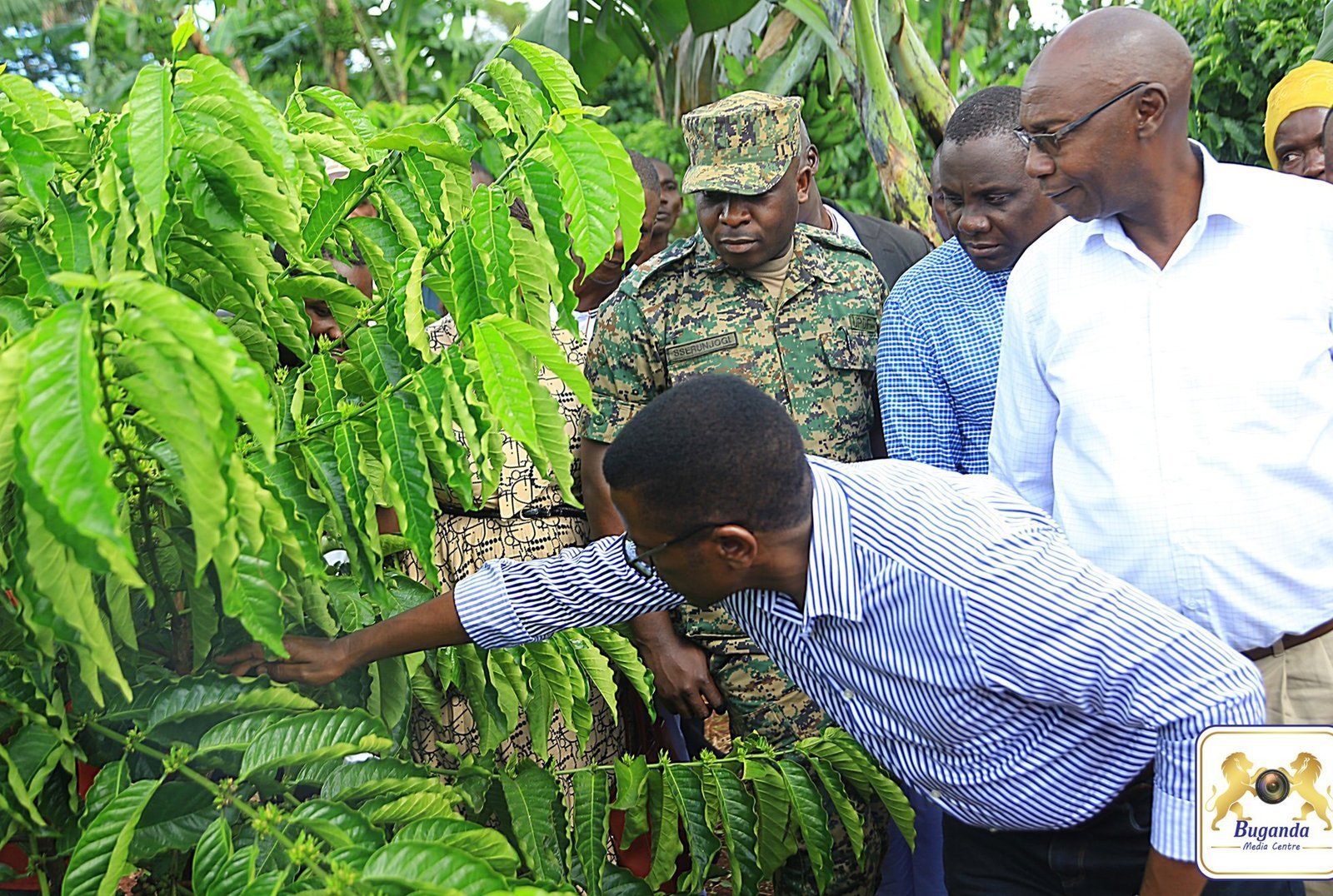 Katikkiro Mayiga alambudde abalimi b’emmwanyi mu ssaza Butambala – asiimye ababaka ba parliament olw’obutawagira tteeka eriggyawo ekitongole ky’emmwanyi ki UCDA