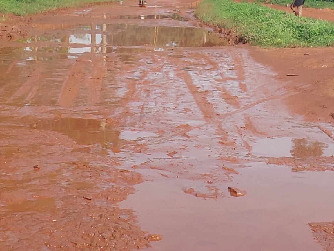 Parliament eyimirizza eby'okuddaabiriza enguudo mu bitundu - sente akawumbi akamu akaweebwa buli district ababaka bagamba nti tebalaba kyezikola