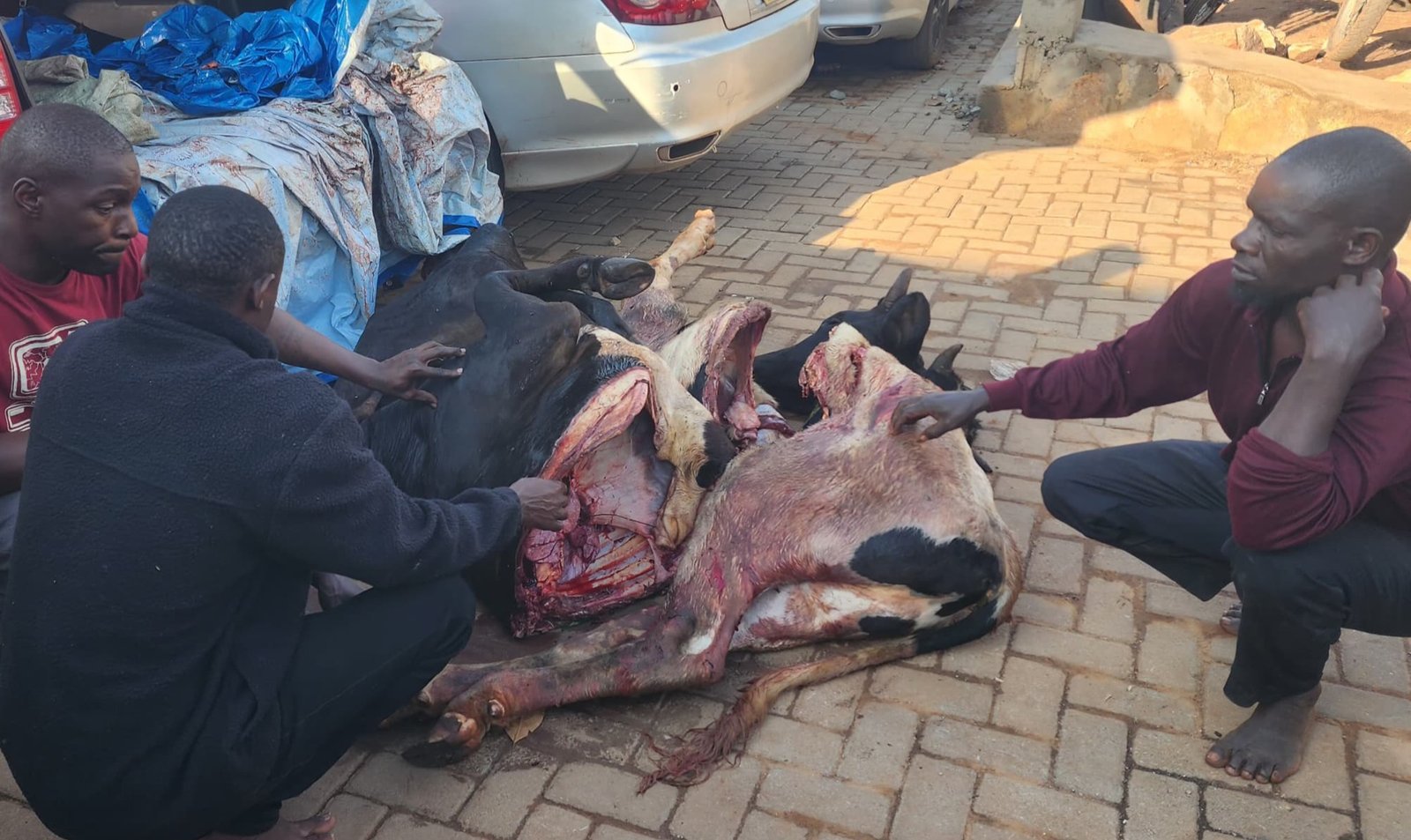 Police ekutte abantu 3 mu Kampala- bakwatiddwa n'ennyama y'ente eteeberezebwa okuba ey'ente enzibe