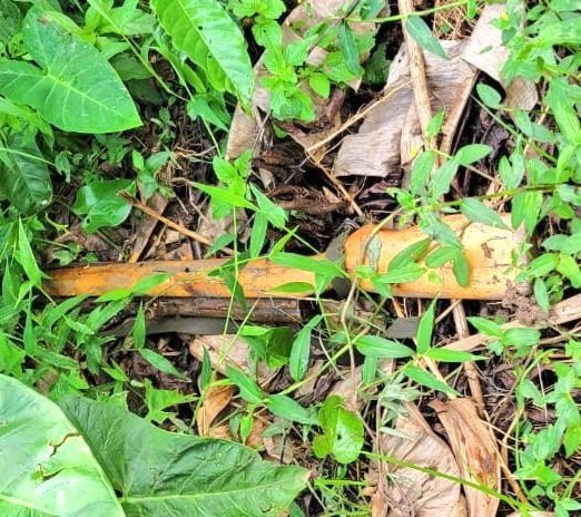 Police ezudde emmundu eyabbibwa ku mukuumi wa Stabex e Matugga