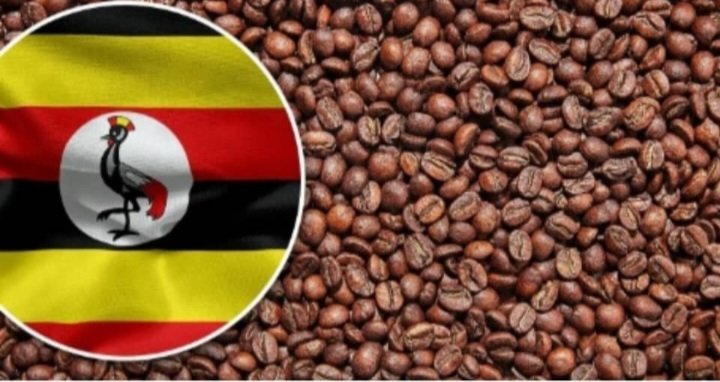 Uganda ng'ekolagana ne Saudi Arabia zigenda kuzimba ekkolero e Luweero eryongera omutindo ku mmwanyi  - lyakuwemmenta obuwumbi bwa shs obusoba mu 574